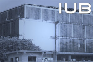 <br /><br/><a href="http://iub.terna.net" target="_blank">Ver iub.terna.net</a>